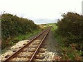 SC3472 : Isle of Man Steam Railway by Andrew Abbott