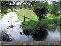 Pill Hill Brook confluence with its leat