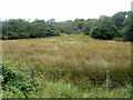 A view south from the A4221 near Caehopkin