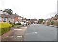 Roundhill Avenue - viewed from Roundhill Mount