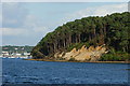 SZ0088 : View Towards Brownsea Island, Dorset by Peter Trimming