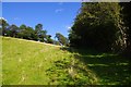 Old bridleway near Upper Llanover