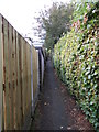 Footpath - Manor Drive