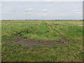 TL4686 : Grassy field off Old Mill Drove by Hugh Venables