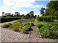 ST9800 : Kingston Lacy, kitchen garden by Mike Faherty