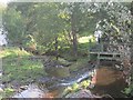 Weir, Bridge of Allan