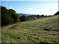 Fields on the Blorenge