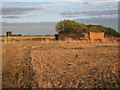 The remains of a farm in Howell Fen