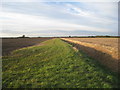 View alongside a drain in Howell Fen