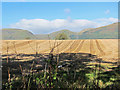 View towards the Ochils