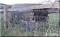 Old calf trailer at Glandy Farm