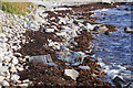 Shopping trolleys on the shore, Seafield, Lerwick