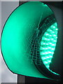 SE1633 : Bradford: a green cobweb by Chris Downer