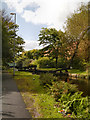 Rochdale Canal, Lock#73 (Ten Acres)