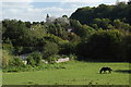 View Towards Barton Grange Farm