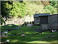 Part of the animal farm enclosure in Maryon Wilson Park