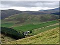 Elsdonburn from Ring Chesters