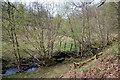 Footbridge at Grimes Gill