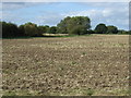 SP4989 : Farmland off Frolesworth Lane by JThomas