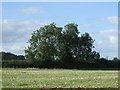 SP5191 : Farmland off Broughton Road by JThomas