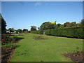 Salt Hill Park rose garden