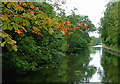 Grand Union Canal near Olton, Solihull