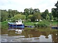 Boat moored on the east bank of the Severn