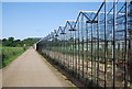 Glasshouses by the Wey South Path