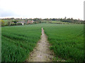 Footpath across a field near Eastry Park