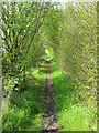 Bridleway alongside the A256