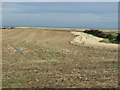 Farmland off Lighthouse Road