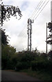 Radio mast off Nobold Lane