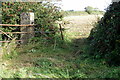 Unused gate between fields