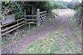 Track and path into Coombs Quarry