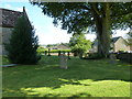 St Mary, Bradford Peverill: churchyard (c)