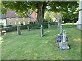 St Mary, Bradford Peverill: churchyard (e)