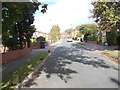 Alwoodley Gardens - looking towards The Avenue