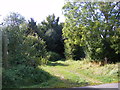 Footpath to Mill Road