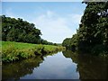 The Staffs and Worcs canal [2]