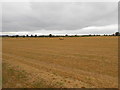 ST8074 : Fields at Upper Wraxall by Nigel Mykura