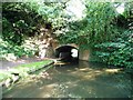 SO8480 : Western portal, Cookley tunnel by Christine Johnstone