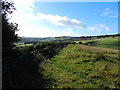 View south from Beet Wood