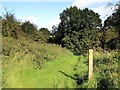 Footpath to Arlescote