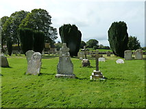 SY8093 : St Laurence, Affpuddle: churchyard (1) by Basher Eyre