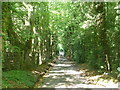 School Lane passing through Horton Wood