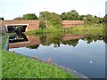 Stourbridge canal, south of Swan Lane Bridge