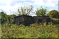 Abandoned allotment south of Eckington