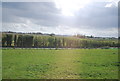 Farmland between the railway and Lower Rd