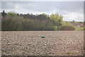 Farmland near Tonge