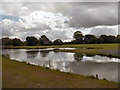 Pond at the side of Prestbury Road